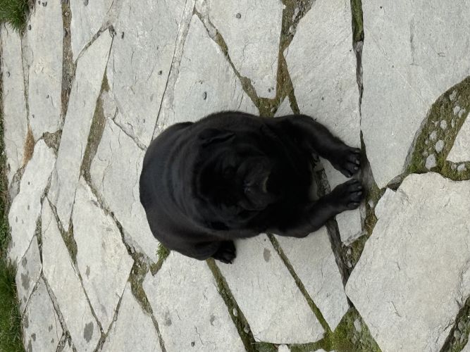 Danuta, Rybnik Danuta, Rybnik